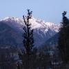 kalgha