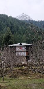 kalgha
