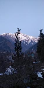 kalgha