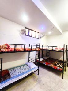 hotel royal pinkcity