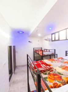 hotel royal pinkcity