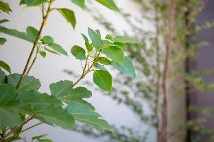 the ryokan o