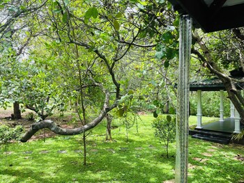 sigiri suncap cottage