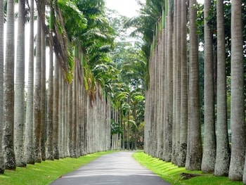 kandy