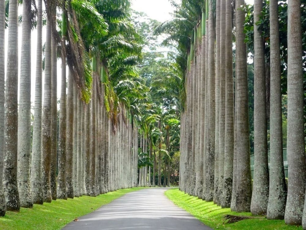 kandy