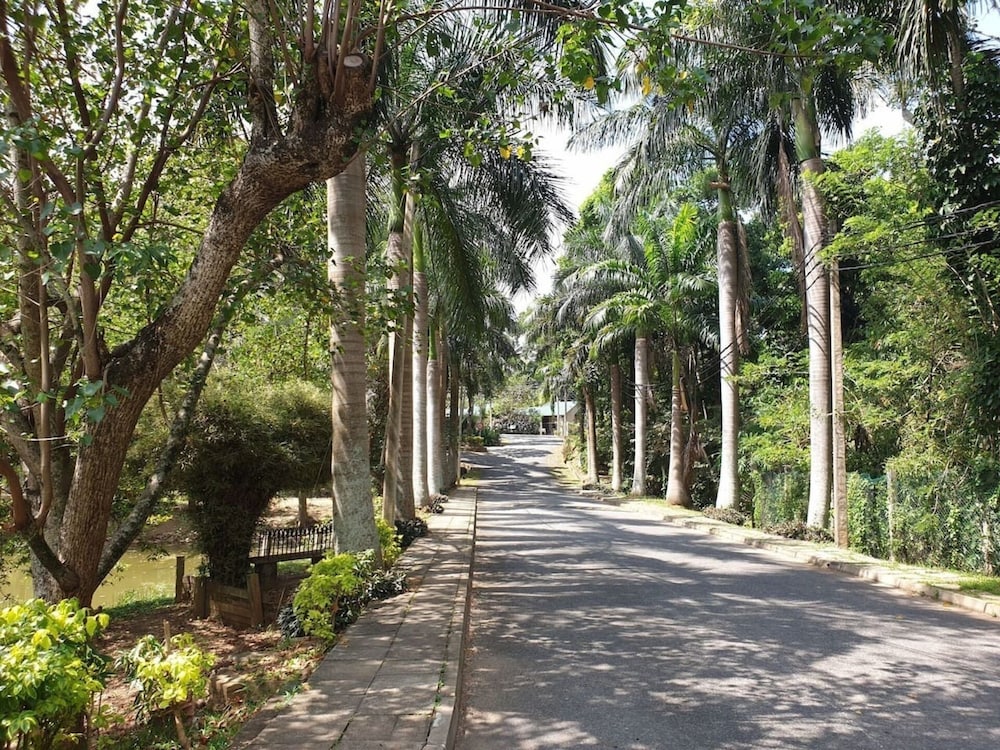 kandy
