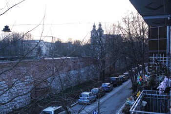 viki kazimierz