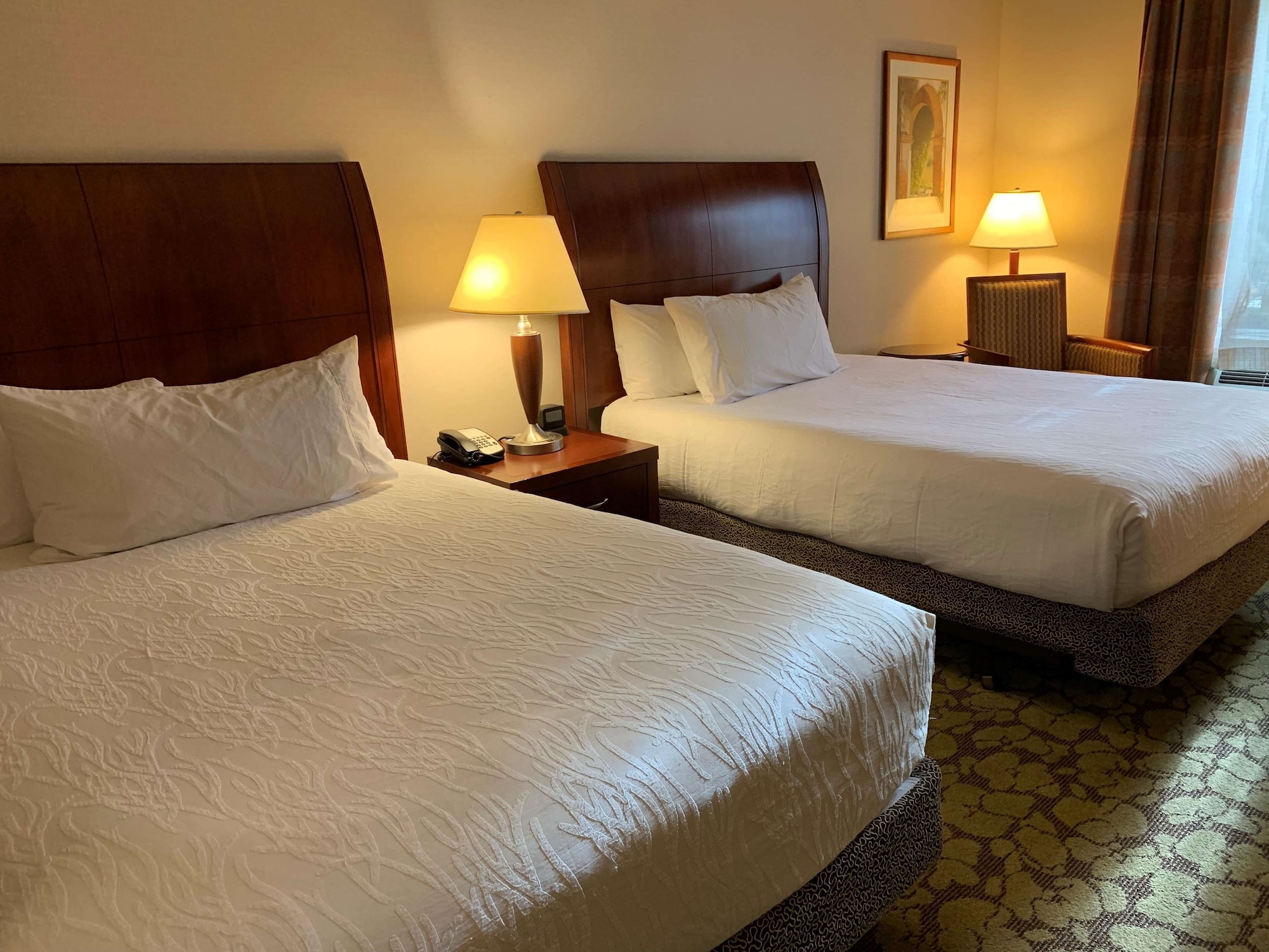 hilton garden inn colorado springs airport