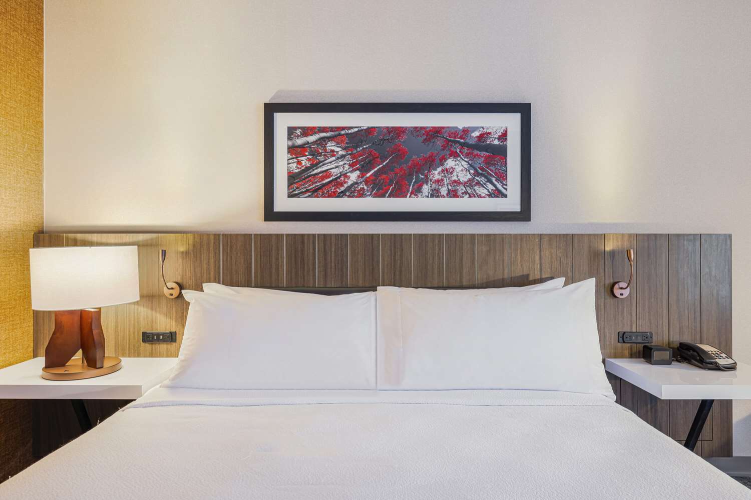 hilton garden inn colorado springs airport