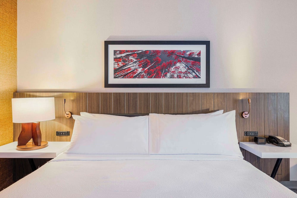 hilton garden inn colorado springs airport