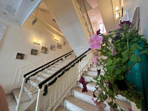 city citadel hotel amman