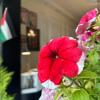 city citadel hotel amman