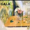 hotel gala