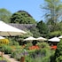 the lamb inn