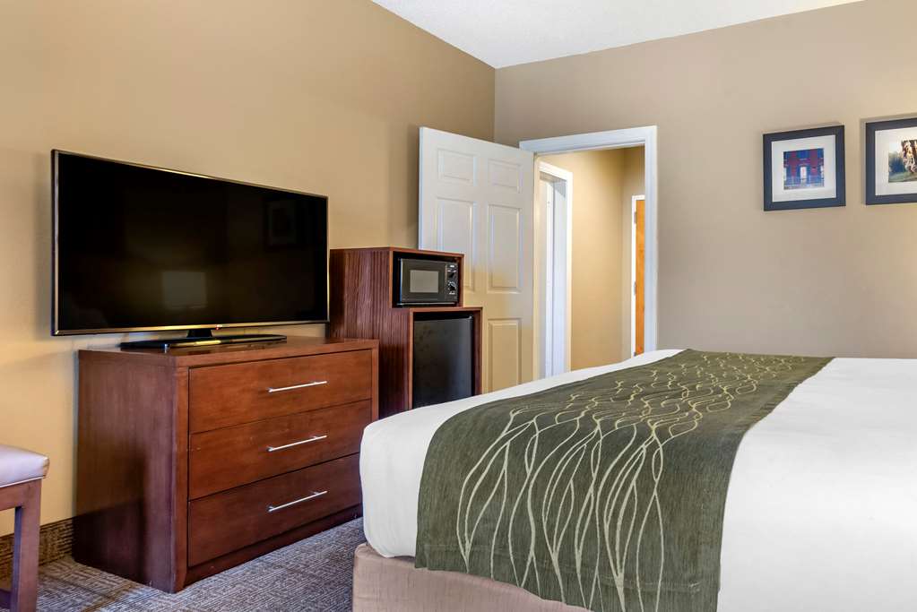 comfort inn amite city