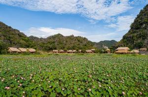 muong village ninh binh