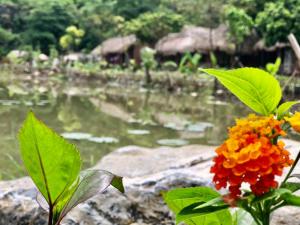muong village ninh binh