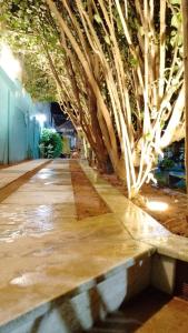 sao jose da coroa grande