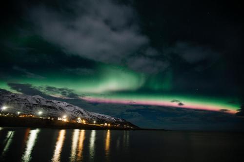 borgarfjordur eystri