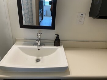 whole family barrette