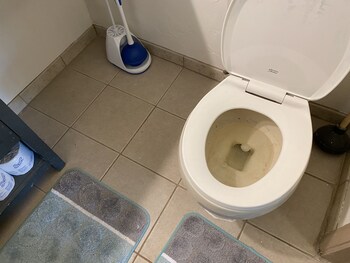 whole family barrette