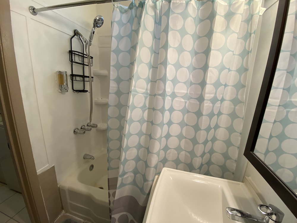 whole family barrette