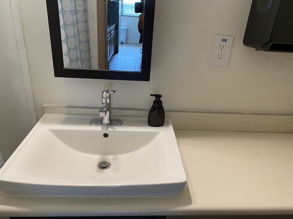 whole family barrette