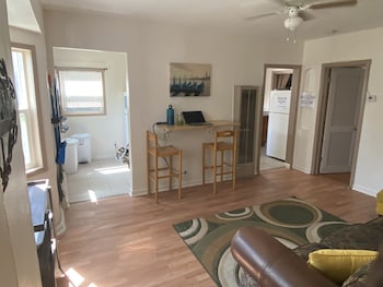 whole family barrette