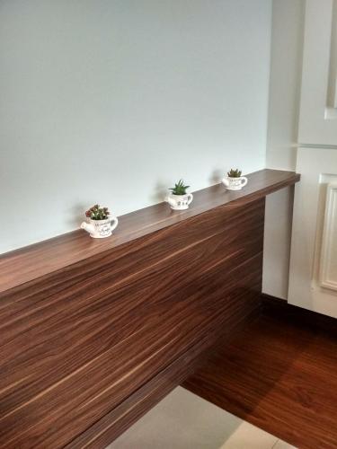 cordex oase pekanbaru