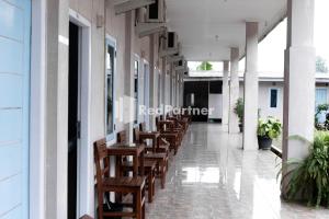 pondok kelapa homestay lampung mitra reddoorz
