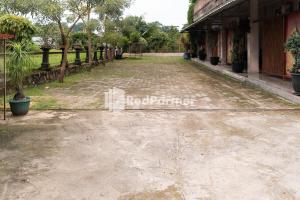 pondok kelapa homestay lampung mitra reddoorz