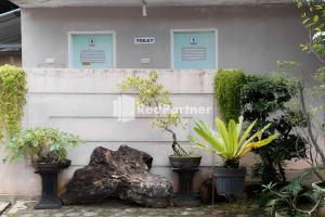 pondok kelapa homestay lampung mitra reddoorz