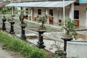 pondok kelapa homestay lampung mitra reddoorz