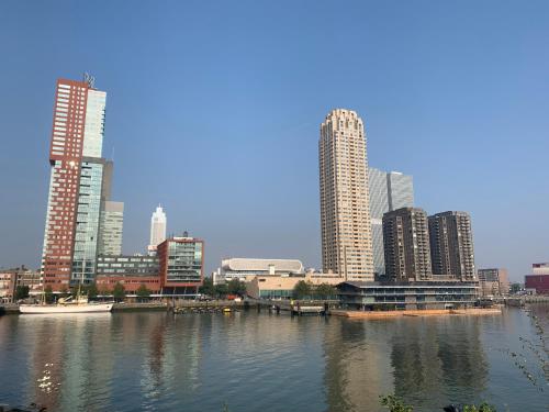 bed bites and business hotel rotterdam