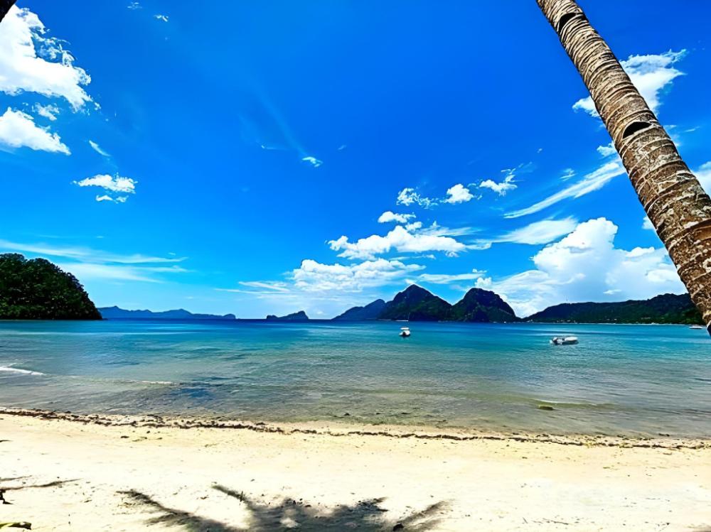 el nido