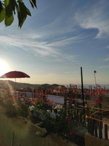 hotel quinto sol