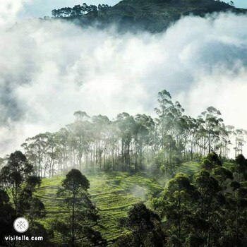 sinharaja park hotel