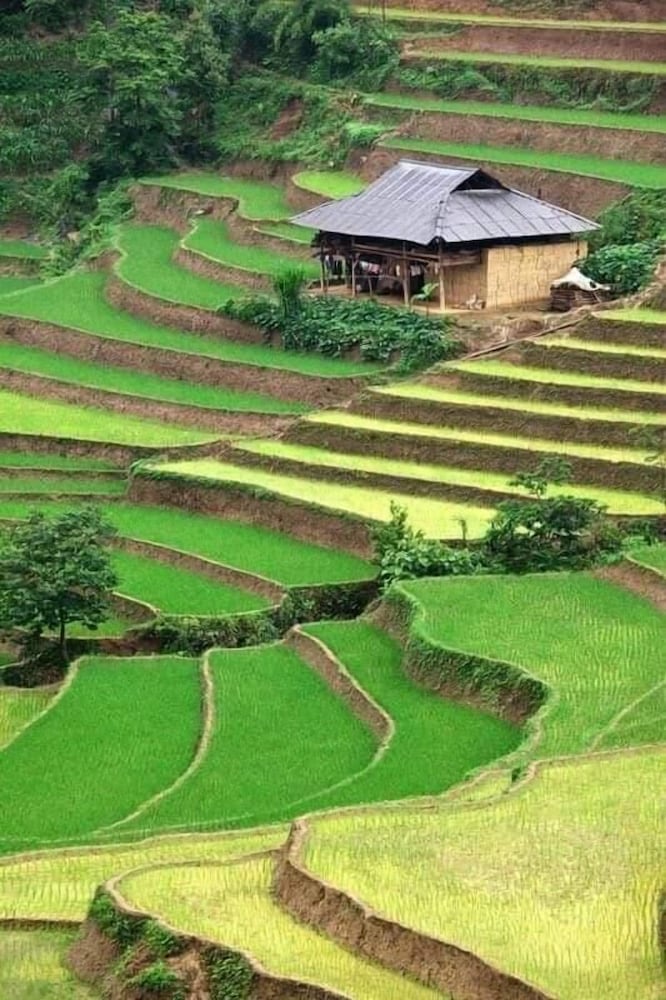 sinharaja park hotel