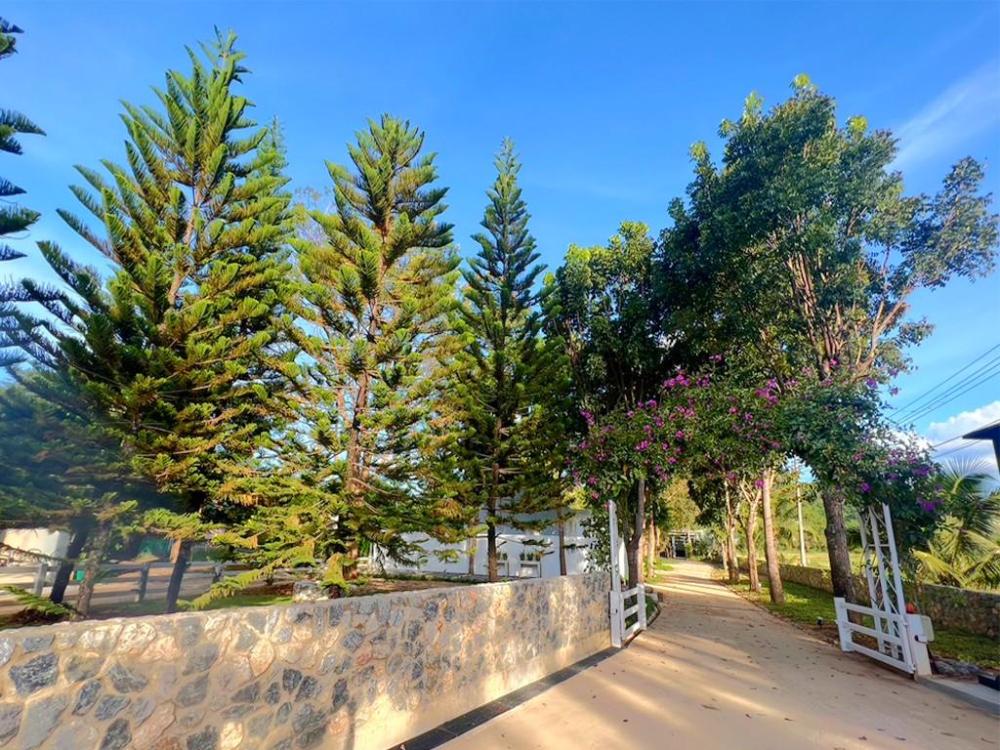 sailomresortkhaoyai