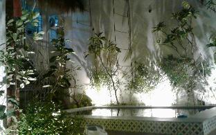 airport hostel manila
