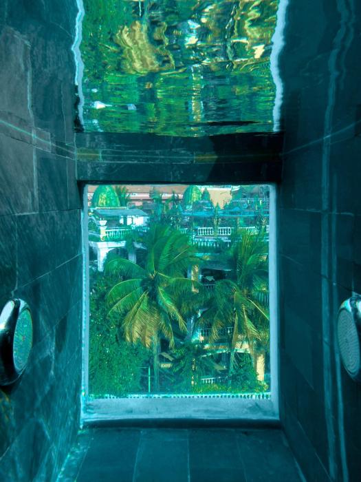 aborest tropical hostel
