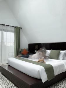 aborest tropical hostel