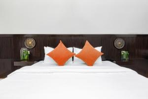 aborest tropical hostel
