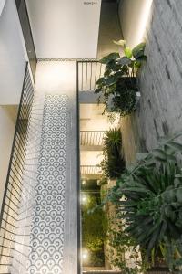 aborest tropical hostel