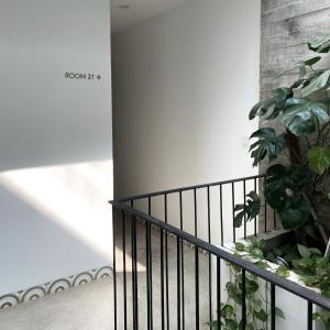 aborest tropical hostel