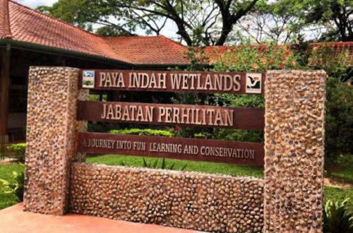 terminal vip lounge near klia sepang