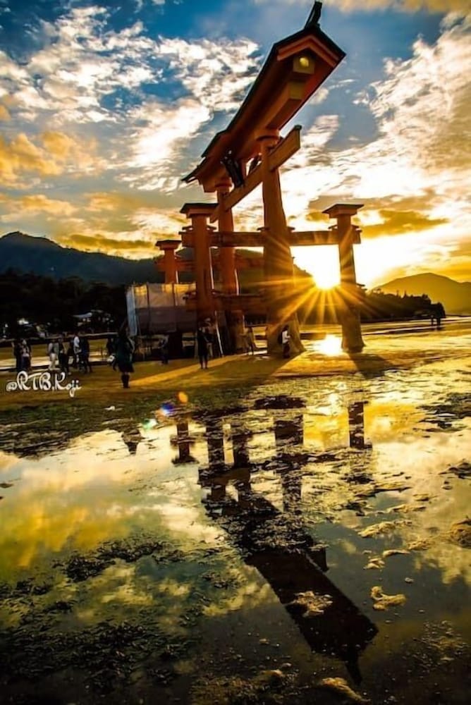 dai3himawari building 402 504 704