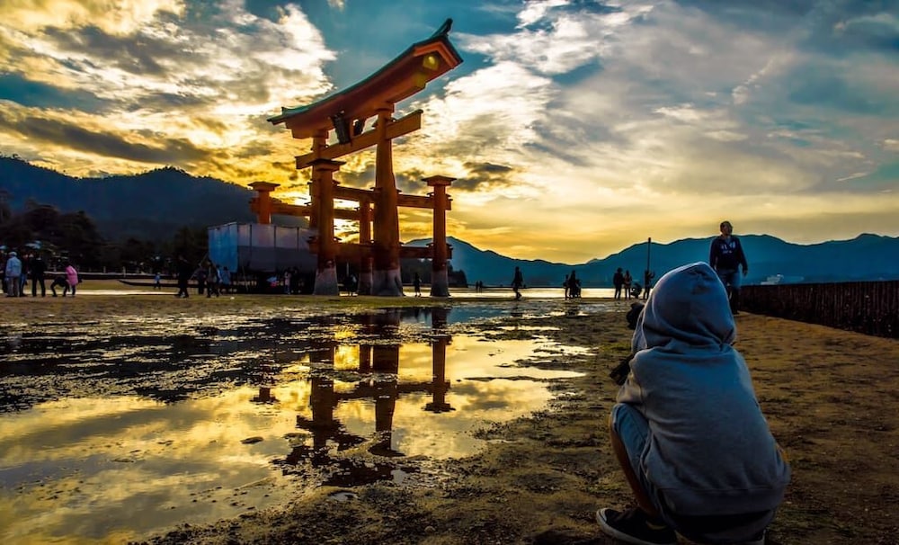 dai3himawari building 402 504 704