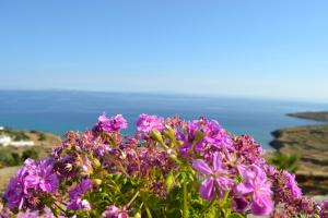 villa ioanna vacation houses for rent close to the beach
