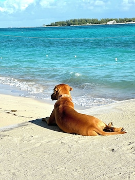 nassau